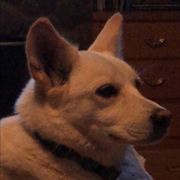 Meet the Posher Other - Meet your Posher, Kelly